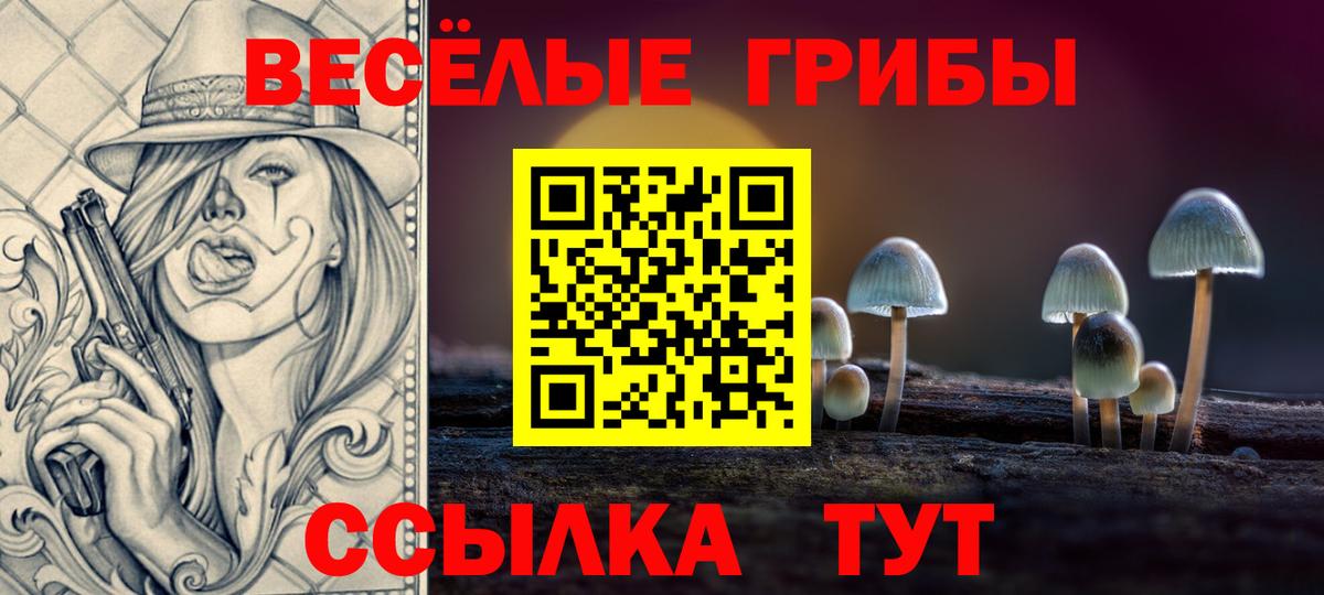 Галлюциногенные грибы Psilocybe Назарово
